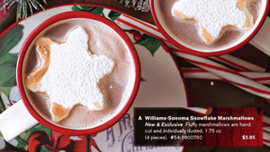 Illustration for article titled The 2013 Hater's Guide To The Williams-Sonoma Catalog